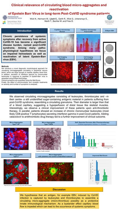 Poster Presentation